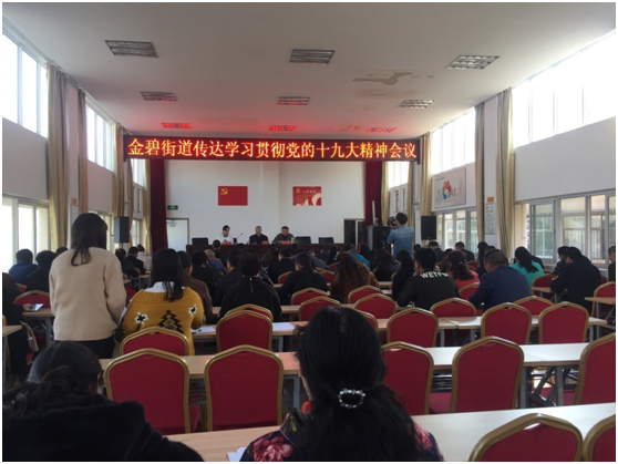 传达学习贯彻党的十九大精神