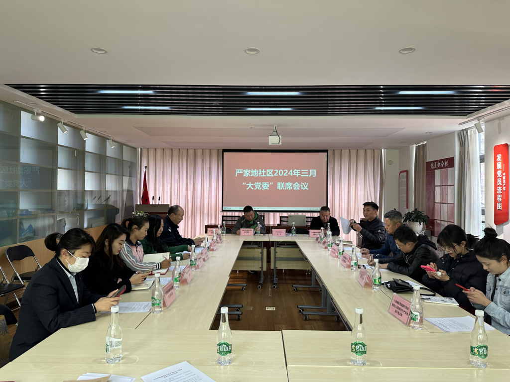 2024年严家地社区委员会大党委一季度工作会议