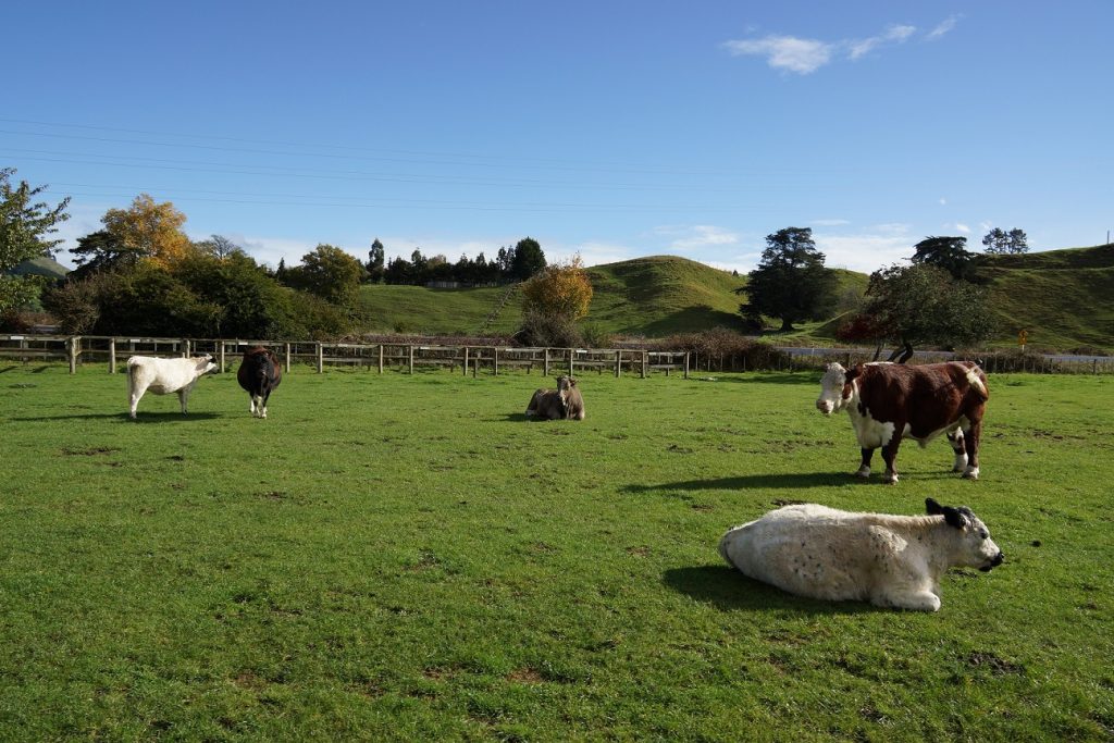 海外交流 促进发展