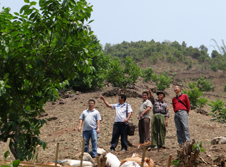 突出重点 深入调研