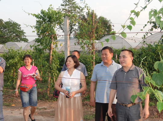 搭建交流平台 增进友谊互信
