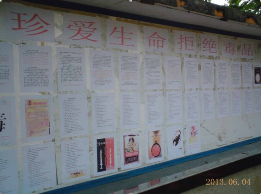 扫除毒害 发展替代