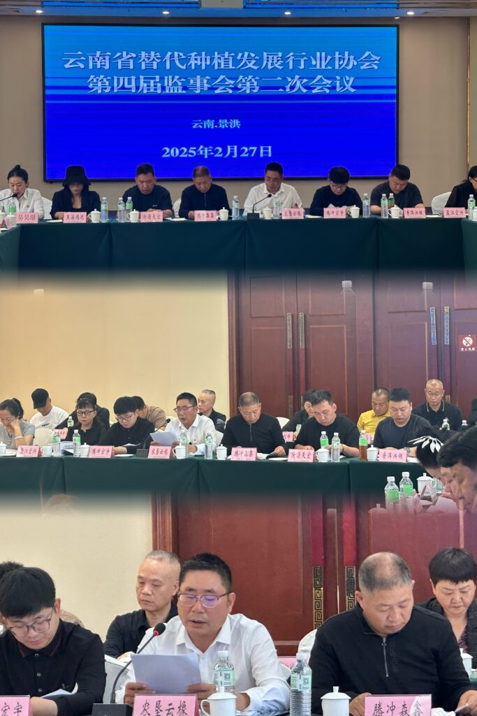 凝心聚力 共启新篇 I 协会第五届第二次理事会暨第二次常务理事会、第四届第二次监事会顺利召开