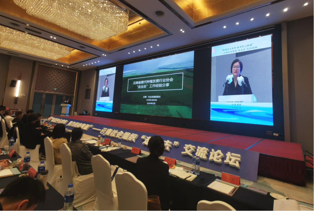 我会受邀在云南社会组织走出去交流论坛上分享工作经验