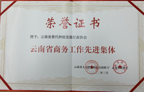 我会被云南省商务厅 云南省人力资源和社会保障厅授予“云南省商务工作先进集体”荣誉称号