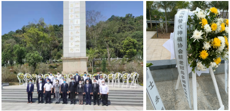 协会驻老挝（乌多姆赛省）代表处受邀参加中国革命烈士陵园祭扫活动