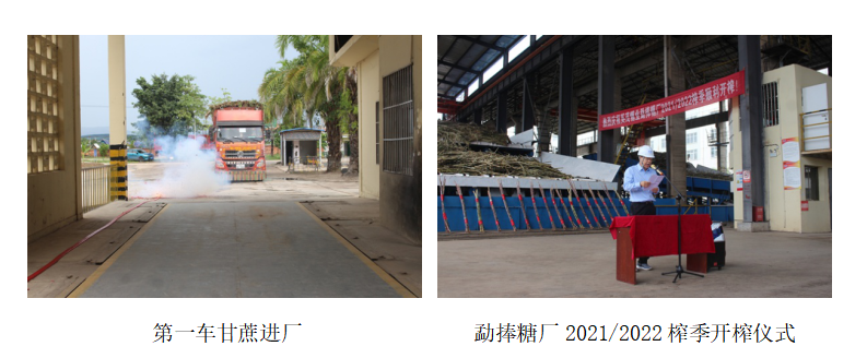 老挝北部替代种植区甘蔗返销国内 英茂糖业启动2021/2022榨季生产