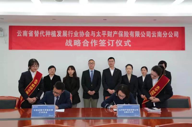 优势互补 精准服务 纾困解难