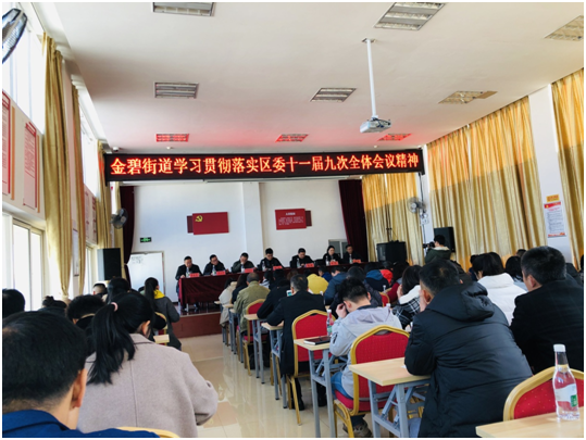 学习贯彻落实区委 十一届九次全体会议精神