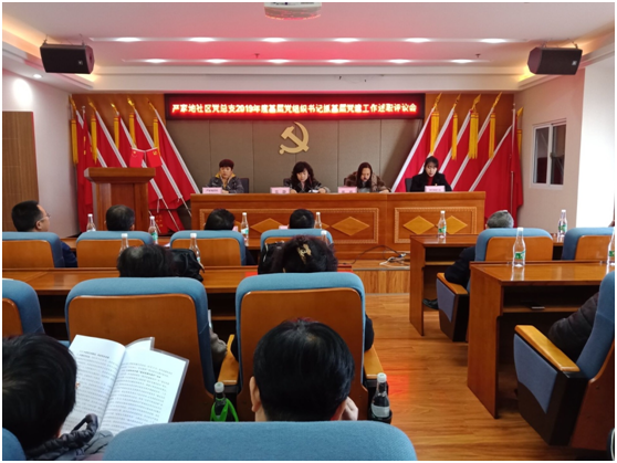 2019年基层党建工作述职评议会