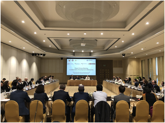 讲好中国替代故事 树立中国替代形象