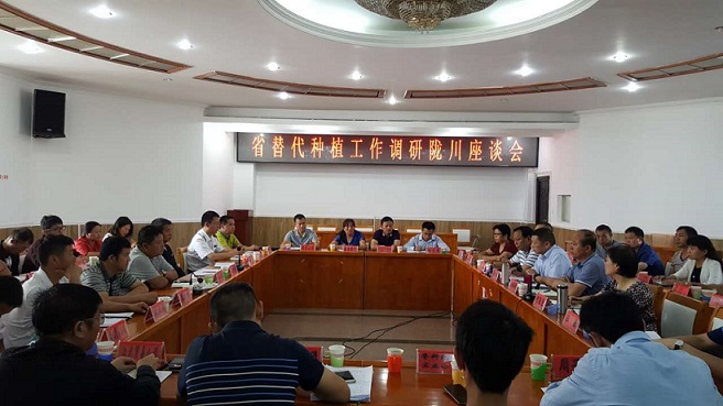 德宏州替代工作调研座谈会在陇川召开