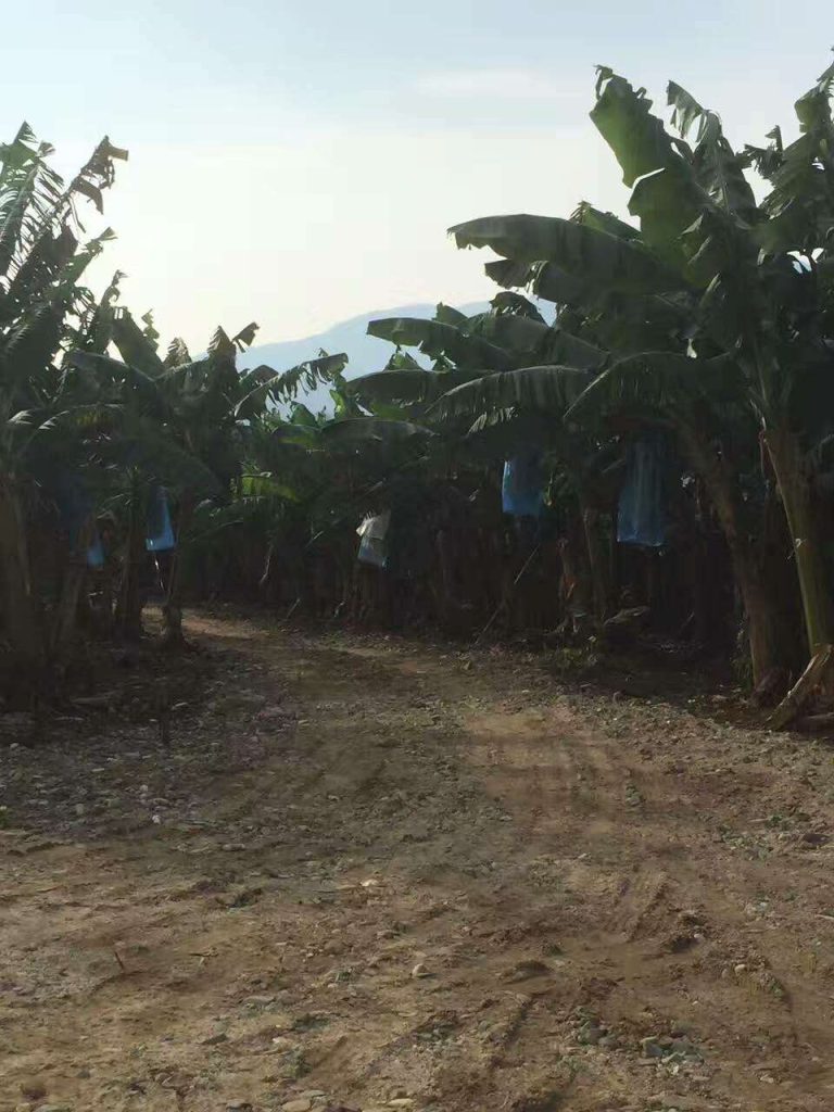 加强调研 掌握情况 增进友谊