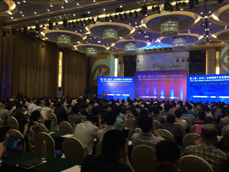 首届云南橡胶产业发展论坛在昆举行