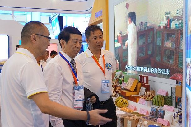 杨慧副厅长参观南博会替代种植成效展示馆