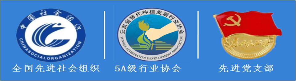 致敬2018 出发2019