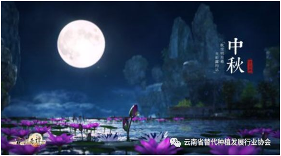 喜迎中秋 共赏圆月