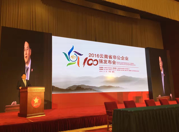 我会常务理事单位被评为2016年云南非公企业100强