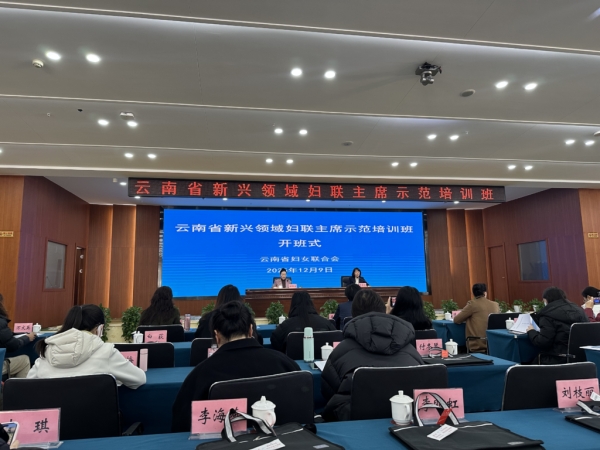 我会妇联副主席参加云南省新兴领域妇联主席示范培训班